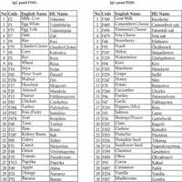 Orvosi Diagnosztika és Fizioterápia