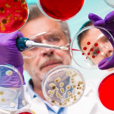 5 féle laboratóriumi tumor marker vizsgálat, főorvosi kiértékeléssel, validált lelettel