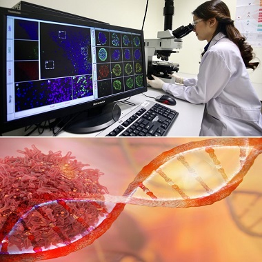 Szűkített daganatszűrő csomag D vitamin ellenőrzéssel a Gellért Medical Laborban előleg