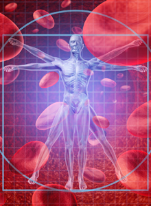 A vérvétel óriási prevenciós értéke, avagy a vérben mindennek nyoma van