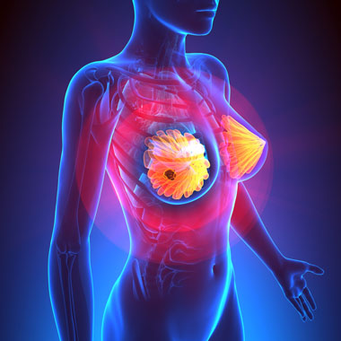 MELLetted állunk: Alapos, megelőző emlő ultrahang vizsgálat a Benyovszky Orvosi Központban.