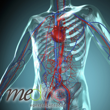 Angiológiai, érsebészeti csomag: Artériás doppler + Vénás keringés + Vénás funkció + érvizsgálat + Scleroterápia...