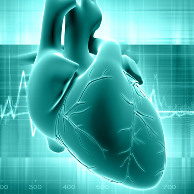 Jó szívvel ajánljuk: Belgyógyászat, szívultrahang, EKG, vércukor, koleszterin vizsgálat ...