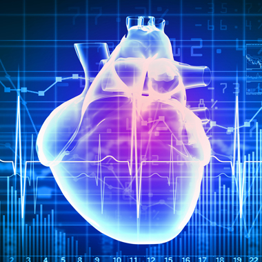 Mi nyomja a szíved? Belgyógyászati vizsgálat szívultrahanggal, EKG, vércukor, koleszterin vizsgálat, RR mérés...