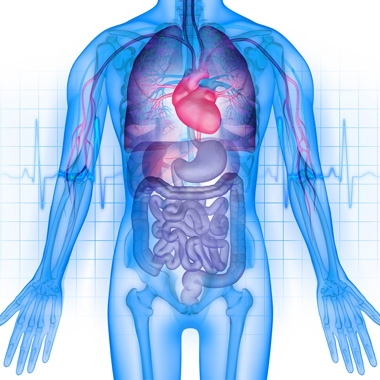 Sejtszintű biorezonanciás állapotfelmérés gyerekeknek is