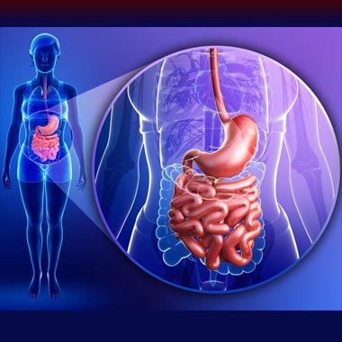 Túl lassú, túl gyors, túl savas? Candida-szint mérés és részletes bél- emésztőrendszeri vizsgálat 
