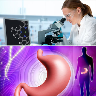 Ne hagyd, hogy felemésszen! Emésztési zavarok kimutatása laborvizsgálattal