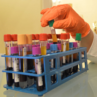 Gellért Medical Labor