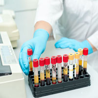 Gellért Medical Labor