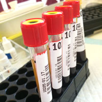 Gellért Medical Labor