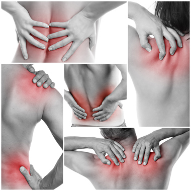 Hazánkban egyedülálló 3 alkalmas Gerinc Selfness® program