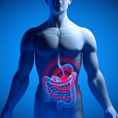 Alternatív gyógyászati vizsgálat csomag Voll-módszerrel: Gyomor, vékony-, vastagbél vizsgálat; Ételintolerancia teszt;...