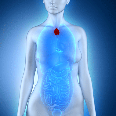 Komplementer alap női vizsgálat pajzsmirigy vizsgálattal