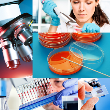 Rettegsz a ráktól? 5 féle laboratóriumi tumor marker vizsgálat Nőknek, Férfiaknak orvosi kiértékeléssel