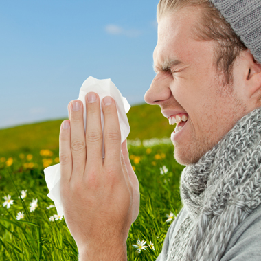 Minden allergiát okozó tényezőre kiterjedő vizsgálat! Átfogó, VEGA teszttel végzett, orvosi allergiaszűrés