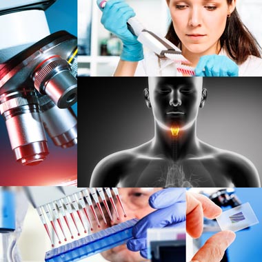 Pajzsmirigy-, immunrendszer hormonszűrés, 2 tumormarker vizsgálattal és...