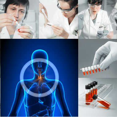 Pajzsmirigy-, immun-, hormonszűrés, cukorbetegség és vashiány vizsgálatával. 