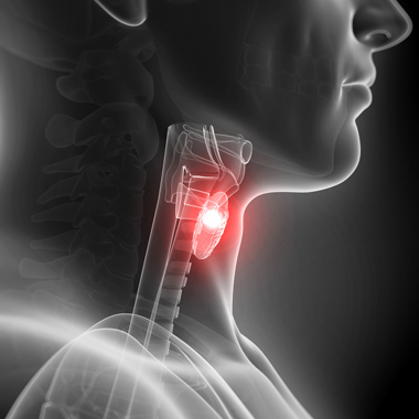 Pajzsmirigy-, immunrendszer, hormonszűrés, 2 tumormarker vizsgálat, Főorvosi lelet kiértékeléssel 