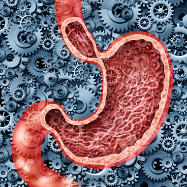 Vihar tombol a gyomrodban: fáj, puffad, ég? Részletes emésztőrendszeri laboratóriumi vizsgálat