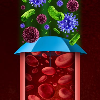 Alapos szűrű és egészség ellenőrzési csomag: Pajzsmirigy- és daganatszűréssel, teljes vérkép, reuma ...