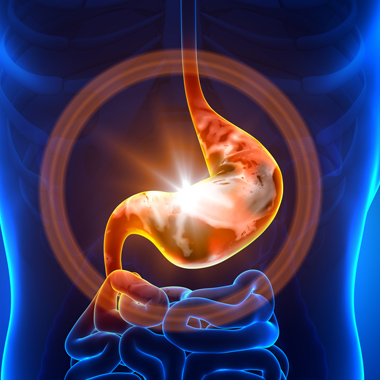 Speciális emésztőrendszeri laborvizsgálat, főorvosi kiértékeléssel, várakozás, sorban állás nélkül.