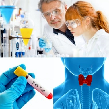 Laboratóriumi pajzsmirigyszűrés hormon-, és immunrendszer vizsgálattal, vércukor, vashiány, koleszterin,...előleg