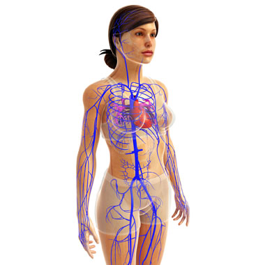 Többkomponensű érvizsgálat csomag agyvérzés, sztrók, hipertónia, trombózis… megelőzésére.