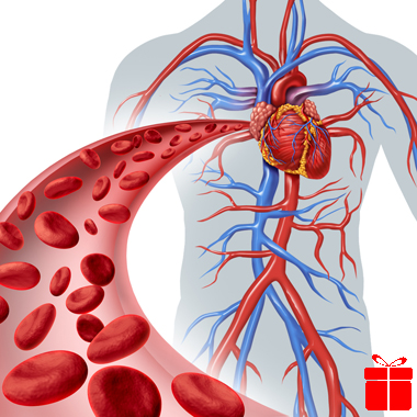  Többkomponensű érvizsgálat csomag a MeDoc Egészségközpontban alsó végtagi doppler vizsgálattal