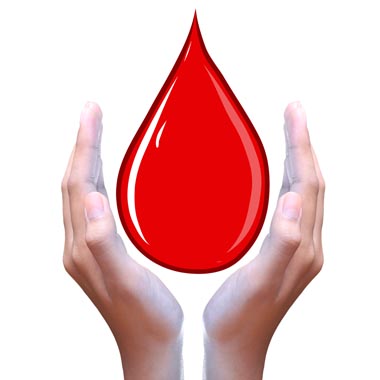 Tudj meg Te is mindent! Teljes körű vércseppanalízis candida-teszttel és orvosi konzultációval