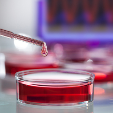 Teljes vércseppanalízis, Candida-teszt, Orvosi konzultáció a belvárosi Dr. Kósnai Központban 14.990 Ft helyett 6.490 Ft!