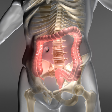 Vastagbélrák kimutatására szolgáló vérvételi szűrőcsomag, szakértői véleménnyel
