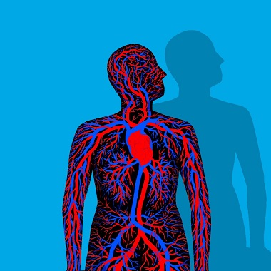Érkatasztrófák elleni ultrahang csomag a Medical Point-nál