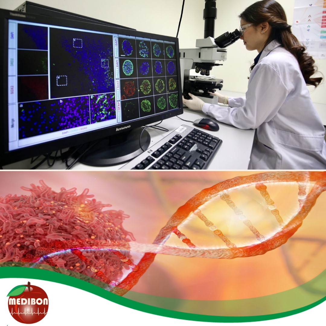 6SZOROS rákmegelőzés a Gellért Női, Férfi daganatszűrő csomaggal előleg