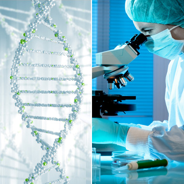 Koleszterin genetikai csomag