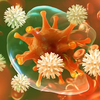 Immunológiai vizsgálatcsomag széleskörű laborvizsgálattal és belgyógyászati konzultációval.