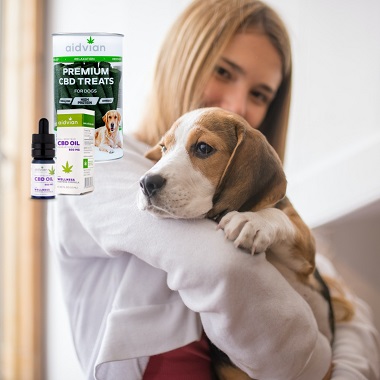 Kiskedvenc és gazdi CDB Wellness csomag, ingeyenes házhoz szállítással