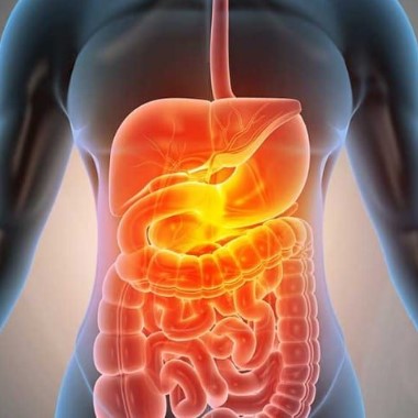 26 pontos 3D NLS  komplementer emésztőrendszeri szűrés kétalkalmas frekvenciaterápiával