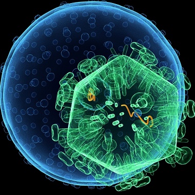 Betegségfelderítés: komplex laborvizsgálat a rejtőzködő betegségekre a Gellért Medical Laborban előleg