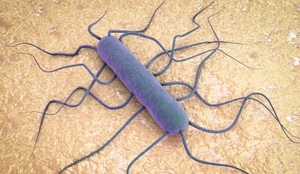 Lisztériafertőzés: 29 100 tonna gyorsfagyasztott zöldséget hívtak vissza 