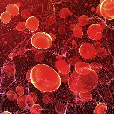 4 pontos terheléses vércukor laborvizsgálat a MyDoctor Egészségközpontban