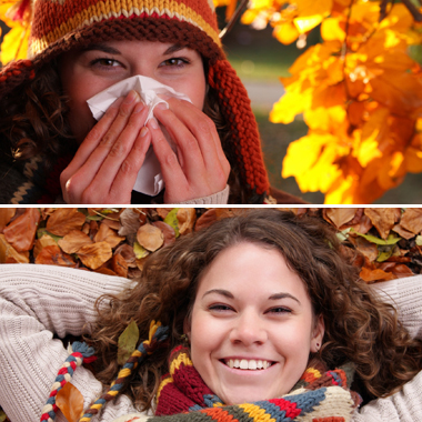 Átfogó ORVOSI allergiaszűrés VEGA teszttel: 200 ételre, pollenre, állatszőrre, nehézfémre. 