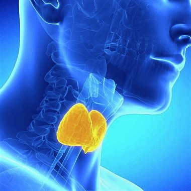 Laboratóriumi pajzsmirigy vizsgálat lelettel, szakértői véleményezéssel