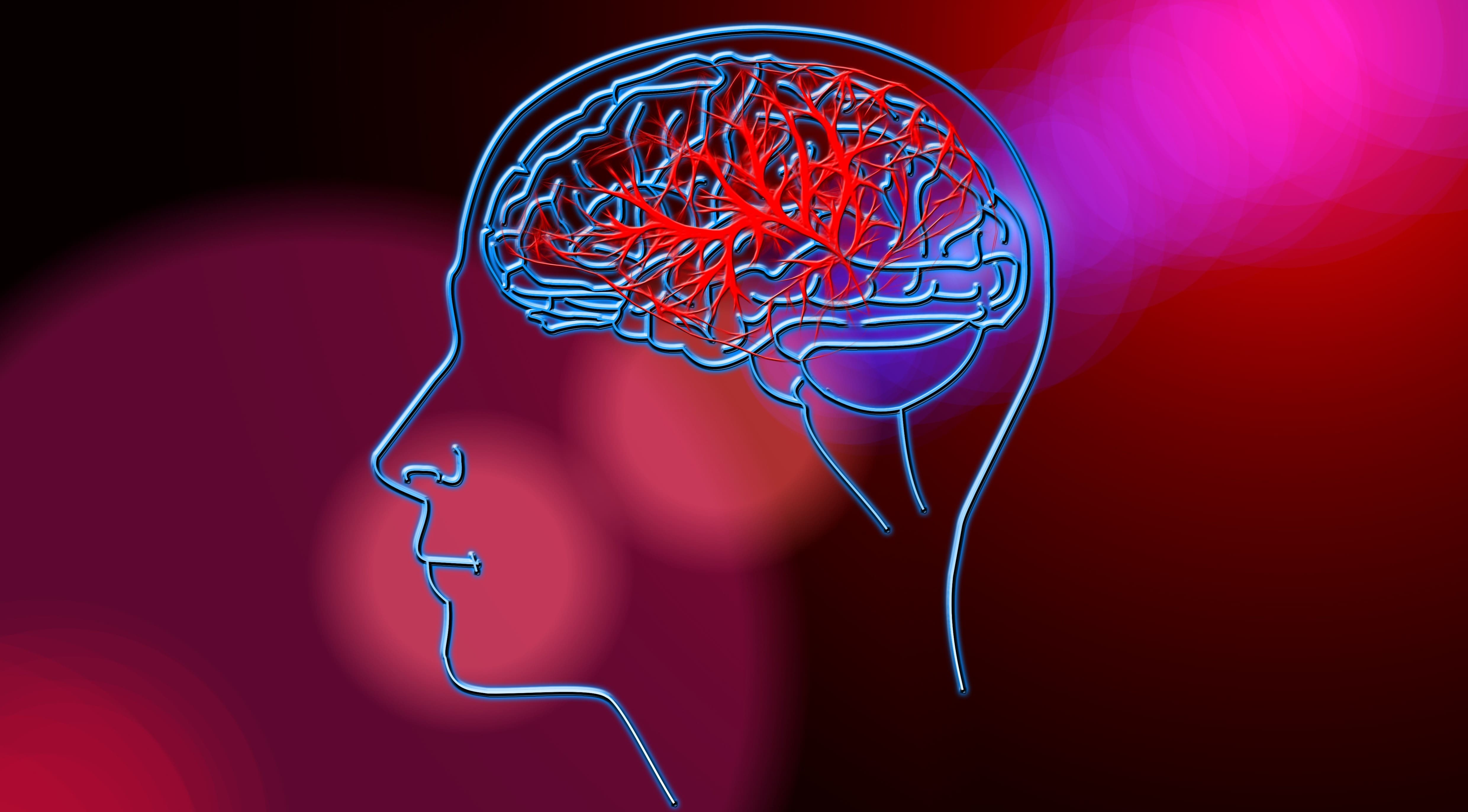 NE KÉSLEKEDJ, MENTS ÉLETET! Október 29 a Stroke világnapja