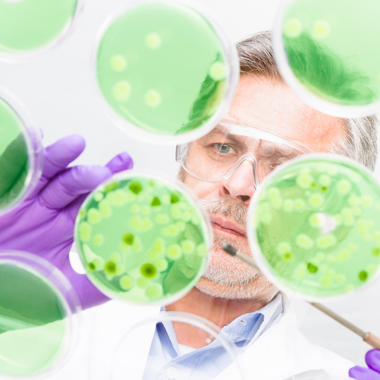 Ezt érdemes kombinálni: Ételintolerancia teszt (a 20 féle leggyakoribb ételre, összetevőre), vércseppanalízissel és...